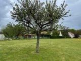  1884749-10885annonce120240621wB9Cy.jpeg Maisons Open