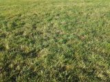 1884182-3231annonce120190314vNBsu.jpeg Maisons Open