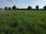  1886542-10730annonce120240621qynTS.jpeg Maisons Open