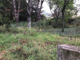  1885169-10245annonce120240620RFIa0.jpeg Maisons Open