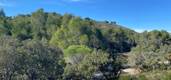 Terrain à bâtir à Villeneuve-lès-Avignon, Occitanie