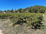  1884533-7050annonce120240619BIeMO.jpeg Maisons Open