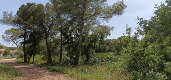 Terrain à bâtir à Le Cannet-des-Maures, Provence-Alpes-Côte d'Azur