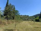  1887452-9911annonce120240622Wi6gZ.jpeg Maisons Open