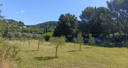 Draguignan Terrain à bâtir - 1887452-9911annonce220240622VsCNI.jpeg Maisons Open