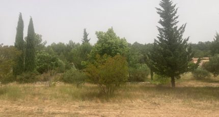 Forcalqueiret Terrain à bâtir - 1887896-10840annonce120240624W5UAP.jpeg Maisons Open