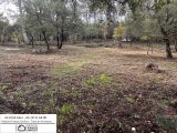  1886463-3951annonce120240621i3D6O.jpeg Maisons Open
