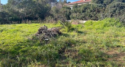 Roquebrune-sur-Argens Terrain à bâtir - 1886535-3951annonce120240621LCBIs.jpeg Maisons Open