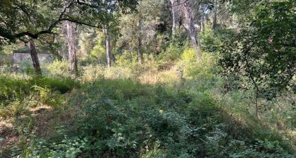 Lorgues Terrain à bâtir - 1886759-3951annonce220240621H48O5.jpeg Maisons Open