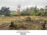  1886808-3951annonce120240621IQ587.jpeg Maisons Open
