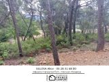  1889030-3951annonce1202406257IRuO.jpeg Maisons Open