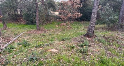 Vidauban Terrain à bâtir - 1889073-3951annonce220240625lCUNv.jpeg Maisons Open