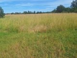  1888221-1132annonce220240628ILQAR.jpeg Maisons Open