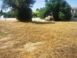  1894519-10271annonce120240702XZ5Ro.jpeg Maisons Open