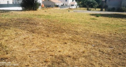 Aubagne Terrain à bâtir - 1894519-10271annonce220240702LxVRw.jpeg Maisons Open