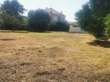  1894519-10271annonce420240702owgo5.jpeg Maisons Open
