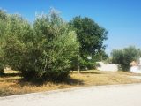  1895439-10271annonce2202407038655D.jpeg Maisons Open