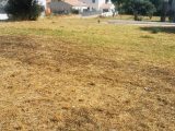  1895439-10271annonce320240703tkAHc.jpeg Maisons Open