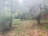  1894002-9707annonce220240702iaTUo.jpeg Maisons Open