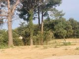  1895051-9707annonce220240703T8Iwg.jpeg Maisons Open