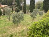  1893517-7060annonce220230609yilns.jpeg Maisons Open
