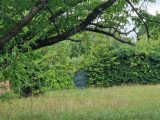  1892947-10885annonce120240629fo3JG.jpeg Maisons Open