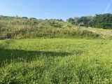  1895054-10222annonce120240703Wtu6m.jpeg Maisons Open