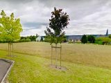  1893425-9897annonce120240701SzOkK.jpeg Maisons Open