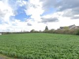  1893518-9897annonce22024070191kMx.jpeg Maisons Open