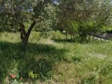  1911287-9993annonce1202407227tZo3.jpeg Maisons Open