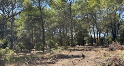 Pierrefeu-du-Var Terrain à bâtir - 1954174-4590annonce220240920pf08p.jpeg Maisons Open