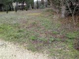  1955207-11041annonce220240923rkDyW.jpeg Maisons Open