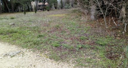 Cadenet Terrain à bâtir - 1955207-11041annonce220240923rkDyW.jpeg Maisons Open