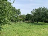  1954545-6043annonce120240920pIpOe.jpeg Maisons Open