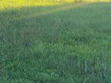  1999270-4866annonce220241114rc1ql.jpeg Maisons Open