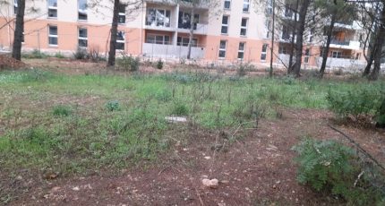 Cuers Terrain à bâtir - 2019010-4866annonce120241204wxhzu.jpeg Maisons Open