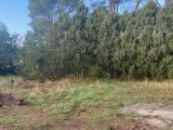  2019039-4866annonce120241204ilTaJ.jpeg Maisons Open
