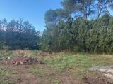  2019039-4866annonce220241204O00a7.jpeg Maisons Open