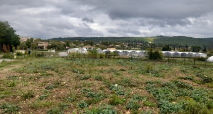 Carnoules Terrain à bâtir - 2019088-4866annonce220241204BZFmk.jpeg Maisons Open