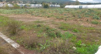 Carnoules Terrain à bâtir - 2019108-4866annonce220241204fdxQ4.jpeg Maisons Open