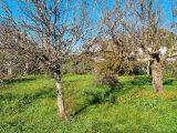  2021547-10326annonce120241206avKvf.jpeg Maisons Open