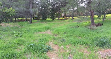 La Seyne-sur-Mer Terrain à bâtir - 2022483-11041annonce320241208wbxks.jpeg Maisons Open