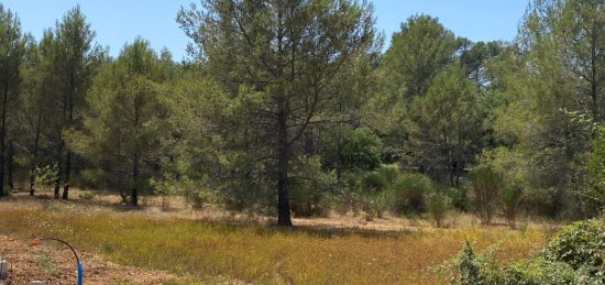 Terrain à bâtir à Méounes-lès-Montrieux, Provence-Alpes-Côte d'Azur