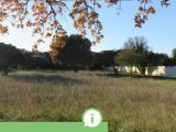  2026693-617annonce220241212tvD47.jpeg Maisons Open