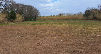 Saint-Martin-de-Crau Terrain à bâtir - 2037285-11041annonce320241231ksF0J.jpeg Maisons Open