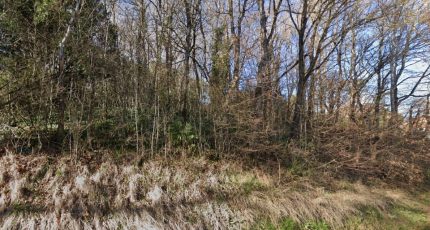 Caujac Terrain à bâtir - 2039562-6043annonce220250103fZCtX.jpeg Maisons Open