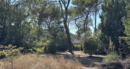 Pierrefeu-du-Var Terrain à bâtir - 2048419-4590annonce2202501131M9DS.jpeg Maisons Open