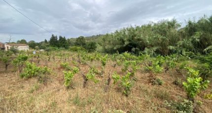 Pierrefeu-du-Var Terrain à bâtir - 2054549-11136annonce1202501174IWGE.jpeg Maisons Open