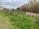  2054549-11136annonce320250117DNJTo.jpeg Maisons Open