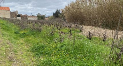 Pierrefeu-du-Var Terrain à bâtir - 2054549-11136annonce320250117DNJTo.jpeg Maisons Open